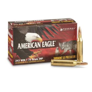 Federal American Eagle Varmint & Predator 243 Win 75 Grain JHP Ammo - 40rds
