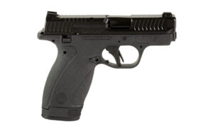 Smith & Wesson Bodyguard 2.0 .380 ACP 2.75" Bbl Black 10/12 Round Firearm