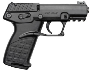 Kel-Tec P17 .22LR 3.8" Bbl Black 17 Round Firearm